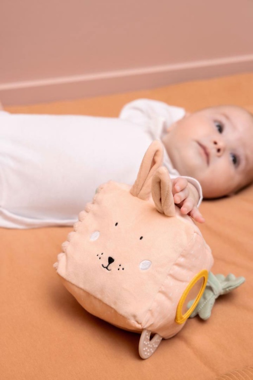 Cubo de Atividades Mrs. Rabbit TRIXIE