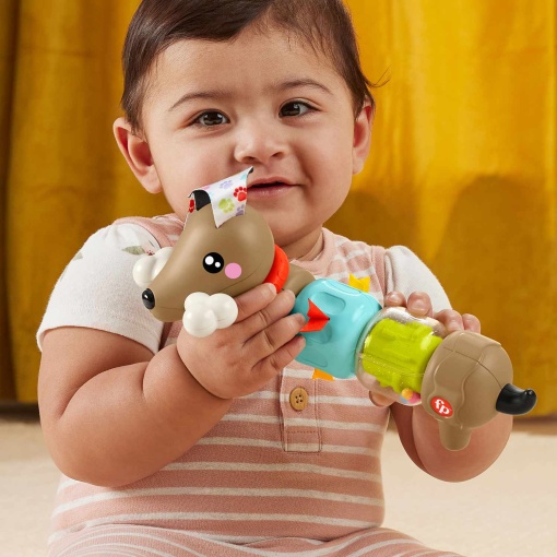 Cãozinho de atividades rotativo Fisher-Price Mattel FP PETS HTW91