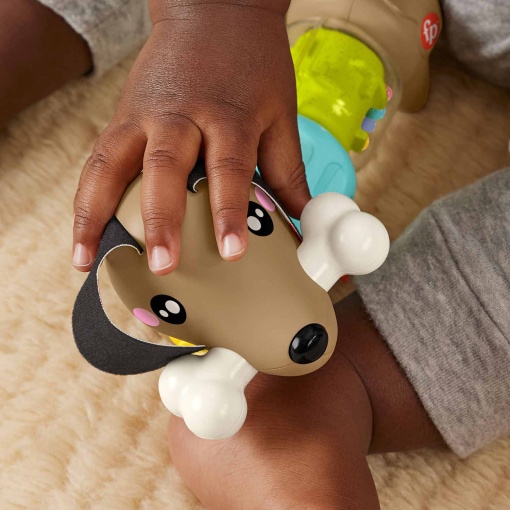 Cãozinho de atividades rotativo Fisher-Price Mattel FP PETS HTW91