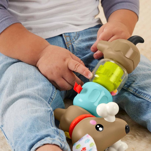 Cãozinho de atividades rotativo Fisher-Price Mattel FP PETS HTW91