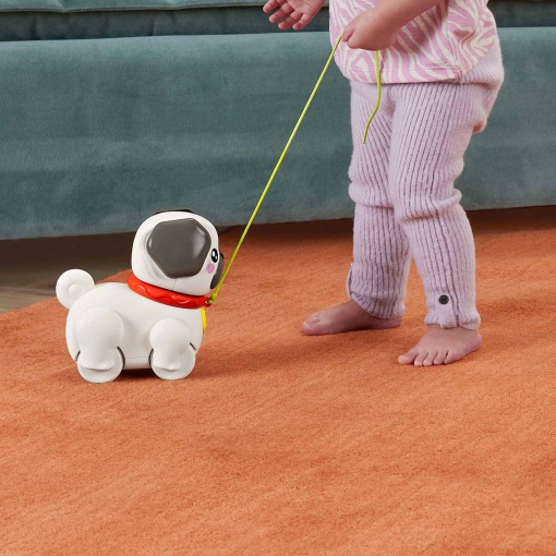 Passeia o Cãozinho Pug FISHER-PRICE MATTEL FP PETS
