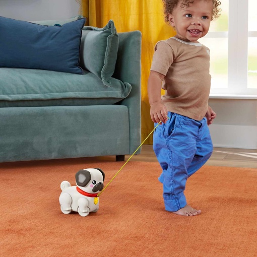 Passeia o Cãozinho Pug FISHER-PRICE MATTEL FP PETS