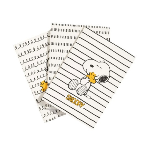 Conjunto 3 Cadernos A5 SNOOPY Lazy Days