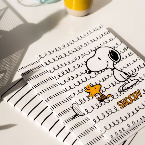 Conjunto 3 Cadernos A5 SNOOPY Lazy Days
