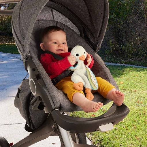 Doudou Ganso Aconchegante FISHER-PRICE MATTEL