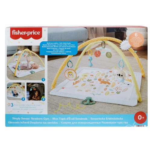 Ginásio Sentidos Básicos FISHER-PRICE MATTEL