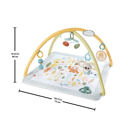 Ginásio Sentidos Básicos FISHER-PRICE MATTEL