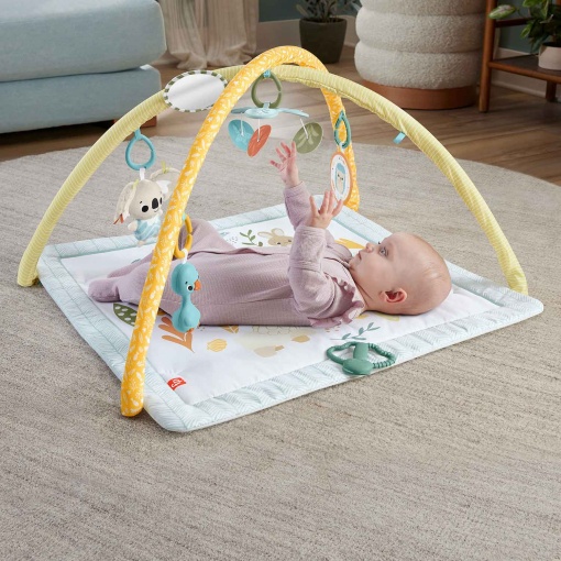 Ginásio Sentidos Básicos FISHER-PRICE MATTEL