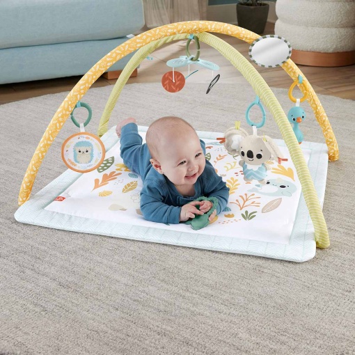 Ginásio Sentidos Básicos FISHER-PRICE MATTEL