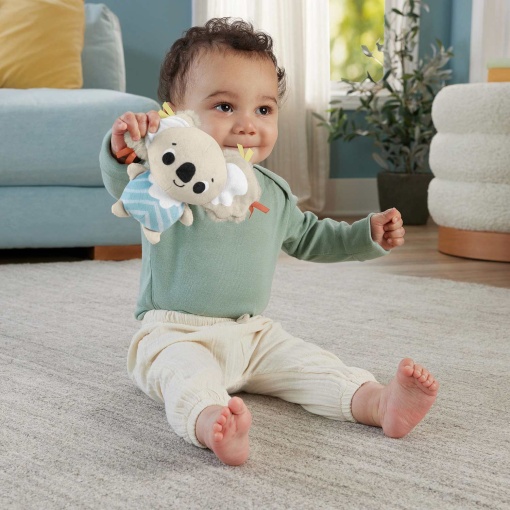 Ginásio Sentidos Básicos FISHER-PRICE MATTEL