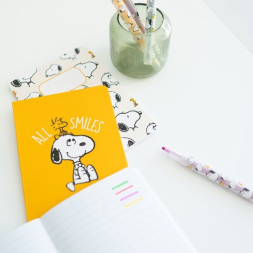 Conjunto Escolar SNOOPY 14 Peças