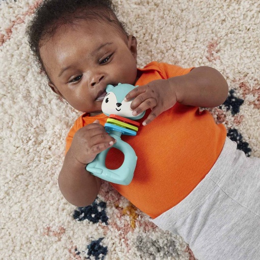 Roca Sensorial Veado FISHER-PRICE MATTEL