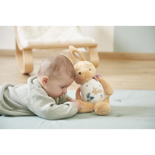 Peluche Coelho Sonoro 28cm KALOO Petites Chansons