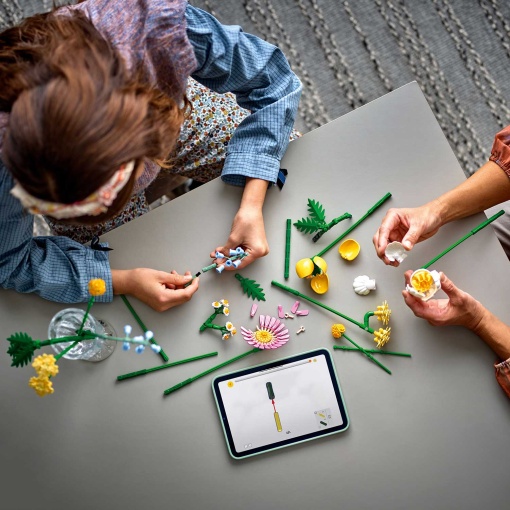 LEGO Botanical Collection Pequeno Buquê Soalheiro 10347