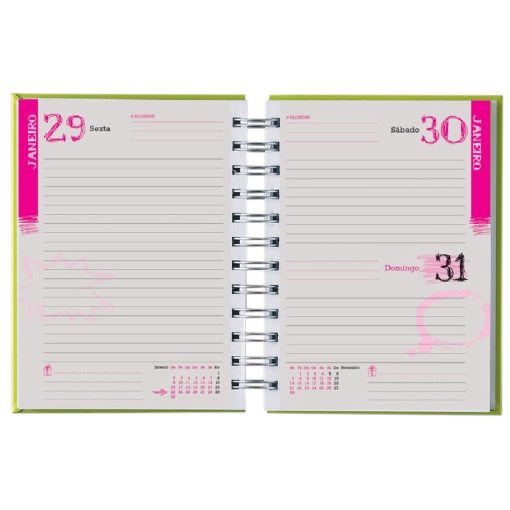 Agenda escolar diária 120x165mm 2025/26 12 meses espiral PAPIRO rosa pastel