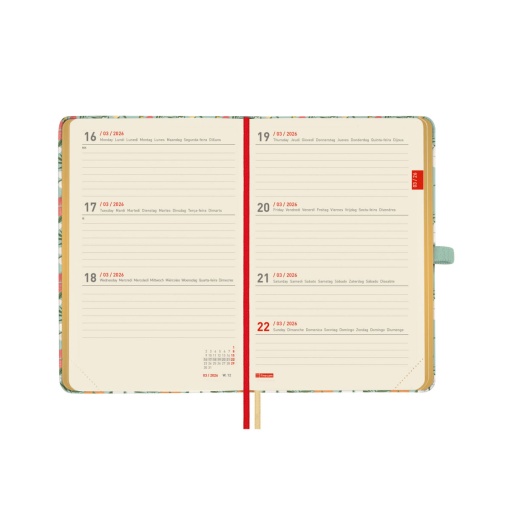 Agenda escolar semanal A6 2025/26 18 meses FINOCAM Minimal Daisy com elástico