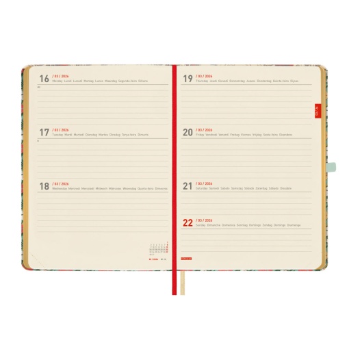 Agenda escolar semanal A5 2025/26 18 meses FINOCAM Minimal Daisy com elástico