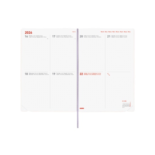 Agenda escolar semanal A5 2025/26 16 meses FINOCAM Dotted Bloom com elástico