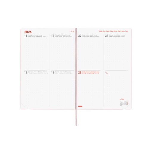 Agenda escolar semanal A5 2025/26 16 meses FINOCAM Dotted rosa com elástico
