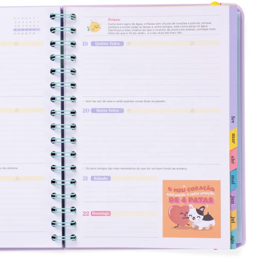 Agenda escolar semanal A5 2025/26 12 meses espiral MR.WONDERFUL "Algo mágico espera por mim"