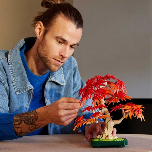 LEGO Botanical Collection Bonsai de Bordo Vermelho Japonês 10348