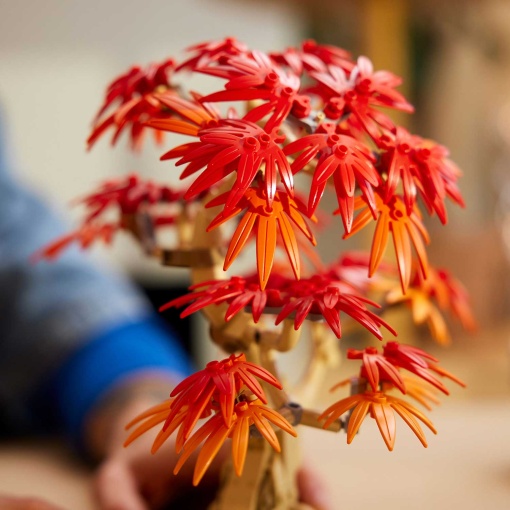 LEGO Botanical Collection Bonsai de Bordo Vermelho Japonês 10348