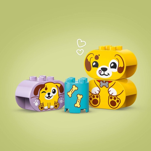 LEGO DUPLO Organizador de Formas: Casa de Cachorrinho 10441