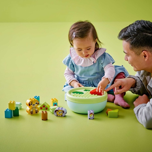 LEGO DUPLO Organizador de Formas: Casa de Cachorrinho 10441