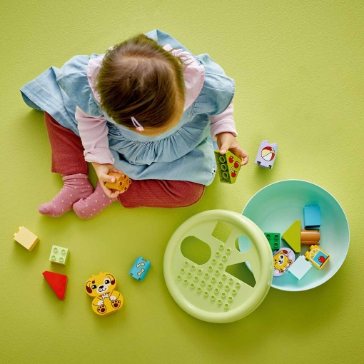 LEGO DUPLO Organizador de Formas: Casa de Cachorrinho 10441