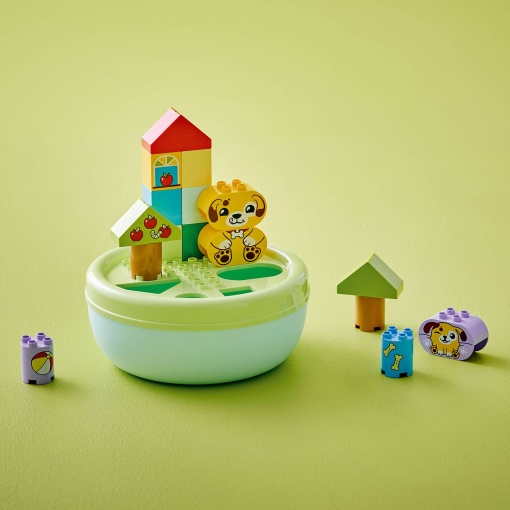 LEGO DUPLO Organizador de Formas: Casa de Cachorrinho 10441