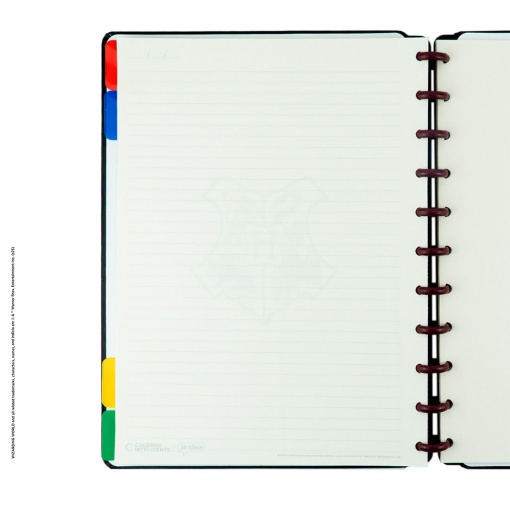 Caderno inteligente grande (215x280mm) pautado Harry Potter Black