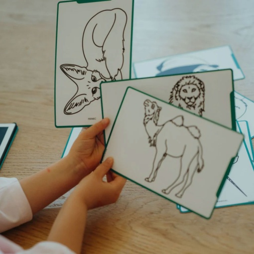 Bloco de desenho com ecrã LCD - Animais Selvagens KIDYWOLF KidyDraw