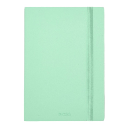 Caderno A5 pautado Hugo Boss Pastel Classic verde com elástico