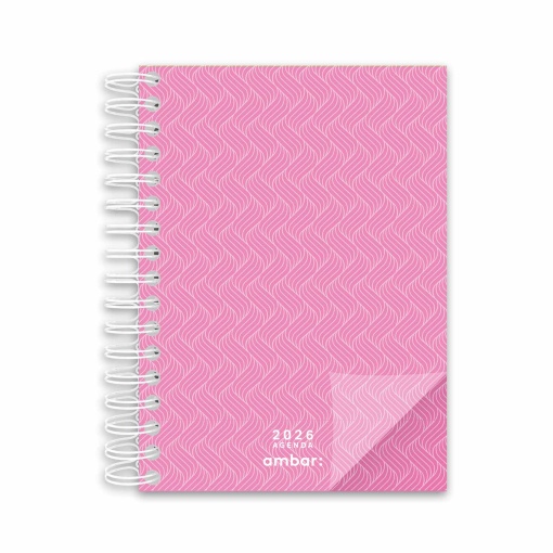 Agenda diária A5 2026 espiral AMBAR Look sortido