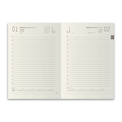 Agenda diária A5 2026 AMBAR Kraft sortido