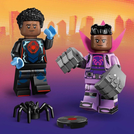 LEGO MINIFIGURES Série 28 71050