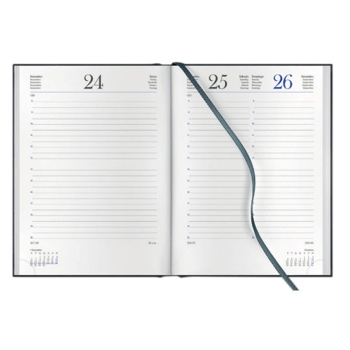 Agenda diária 120x165mm 2026 PAPIRO Breeze rosa com elástico