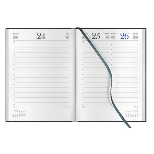Agenda diária 120x165mm 2026 PAPIRO Breeze verde com elástico