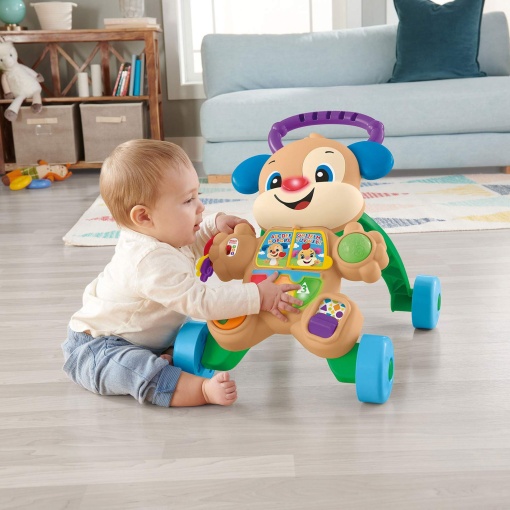 Andador cãozinho aprender e brincar FISHER-PRICE Mattel HHX15
