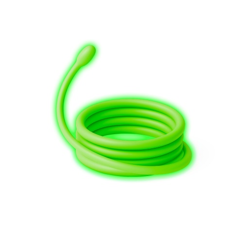 Kidyneon - Kit para decoração luminosa de parede - Dinossauros KIDYWOLF