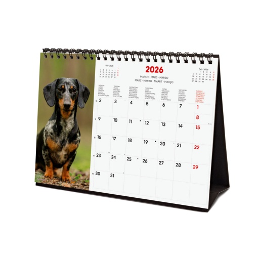Calendário de secretária 2026 FINOCAM 21x15cm Dogs 781245226