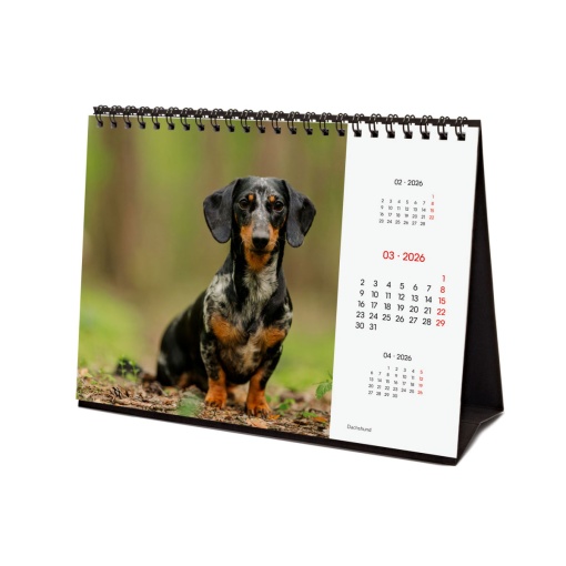 Calendário de secretária 2026 FINOCAM 21x15cm Dogs 781245226