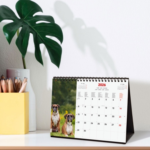 Calendário de secretária 2026 FINOCAM 21x15cm Dogs 781245226