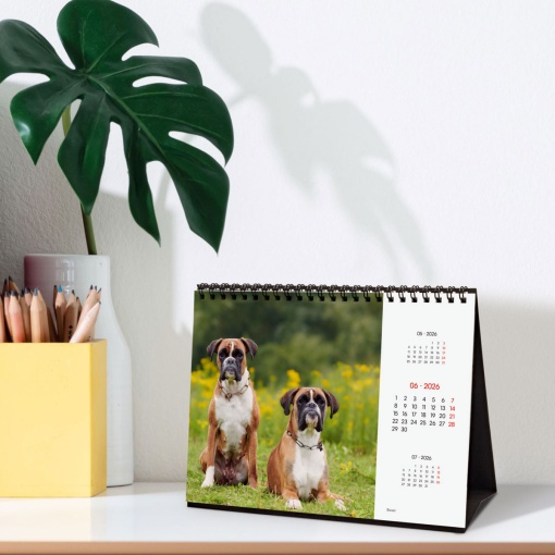 Calendário de secretária 2026 FINOCAM 21x15cm Dogs 781245226