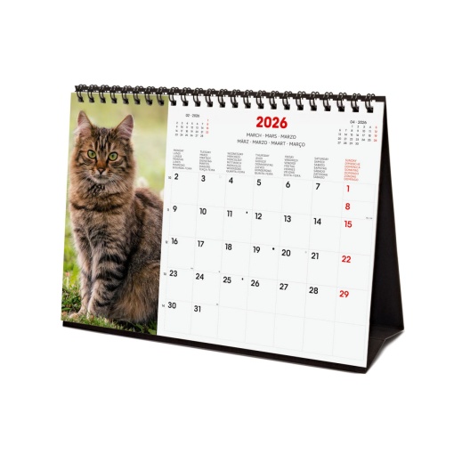 Calendário de secretária 2026 FINOCAM 21x15cm Cats 781245426