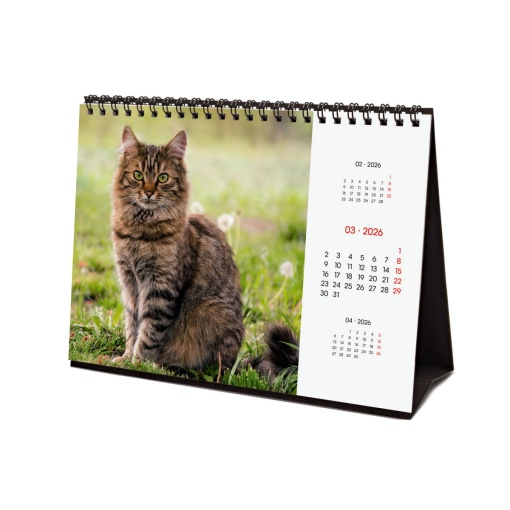 Calendário de secretária 2026 FINOCAM 21x15cm Cats 781245426