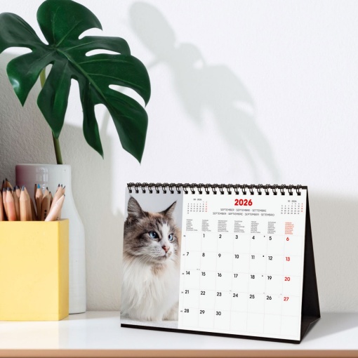 Calendário de secretária 2026 FINOCAM 21x15cm Cats 781245426