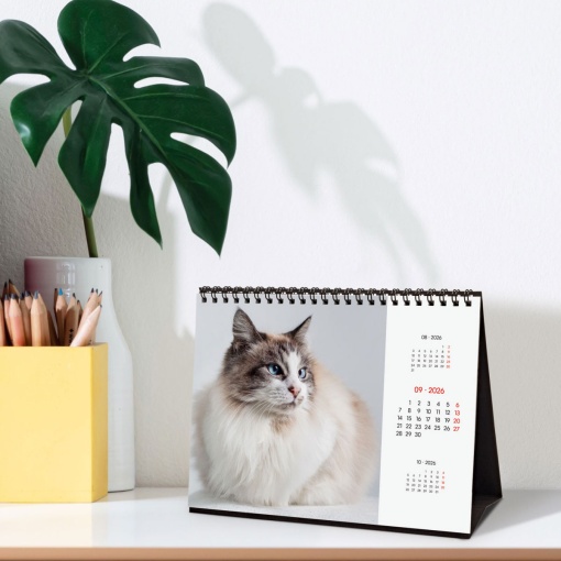 Calendário de secretária 2026 FINOCAM 21x15cm Cats 781245426