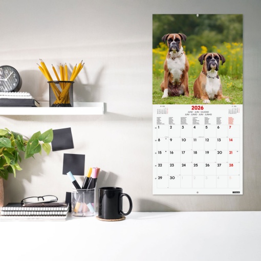 Calendário de parede 2026 FINOCAM 30x30cm Dogs 781225226