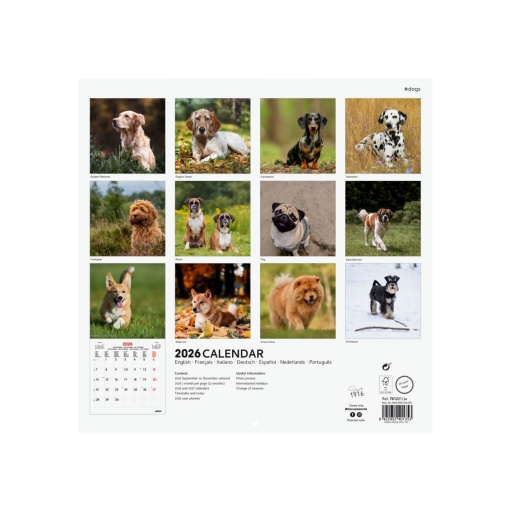 Calendário de parede 2026 FINOCAM 30x30cm Dogs 781225226